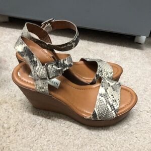 Steve Madden platform snakeskin sandals 6.5